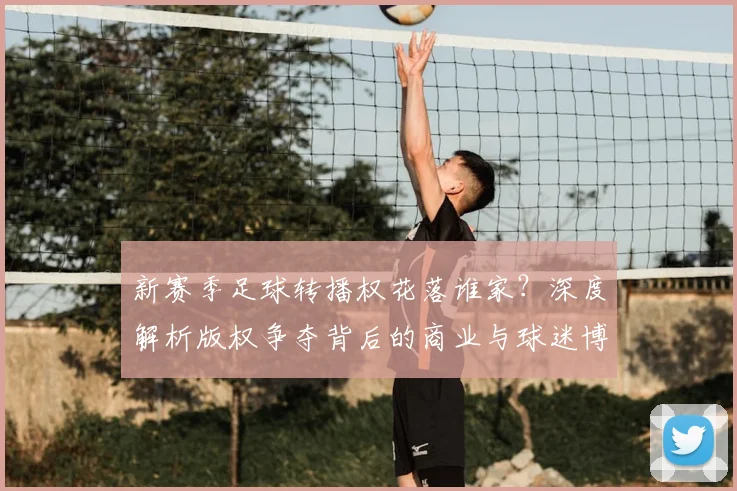 新赛季足球转播权花落谁家?深度解析版权争夺背后的商业与球迷博弈
